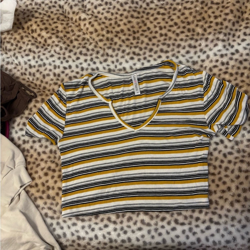 Striped V-Neck Crop Top